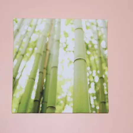 بيت ضيافة Pensao Flor Da Baixa
